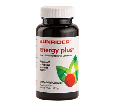 Energy Plus